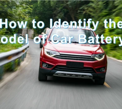 Car Battery